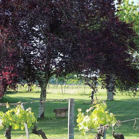 La Vigneraie De Laura Bed & Breakfast Sainte-Colombe  Eksteriør bilde