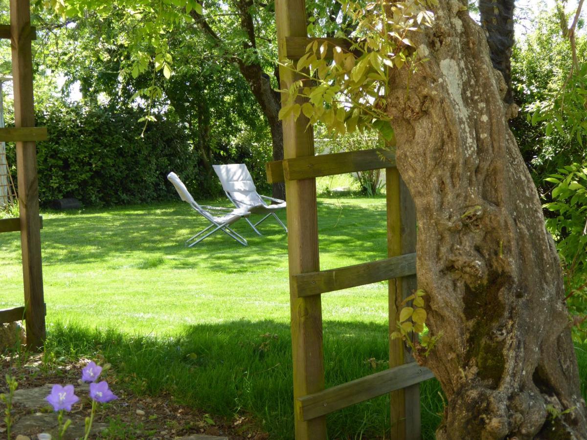 La Vigneraie De Laura Bed & Breakfast Sainte-Colombe  Eksteriør bilde